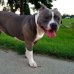 Meet your Posher, Tyler